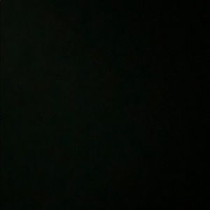 Meet your Posher, Guillermo